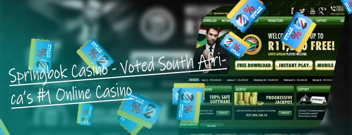 Springbok casino bonus