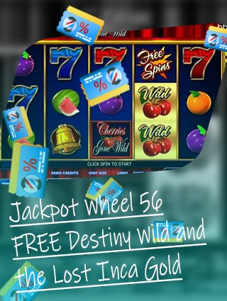 Wild slots no deposit bonus codes